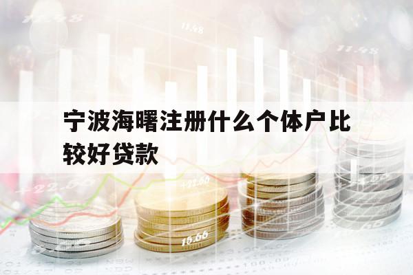 寧波海曙注冊什么個體戶比較好貸款