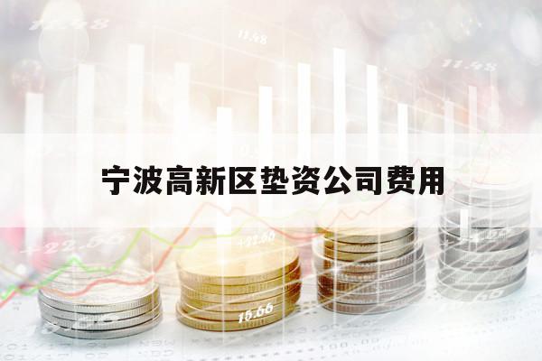 寧波高新區(qū)墊資公司費(fèi)用