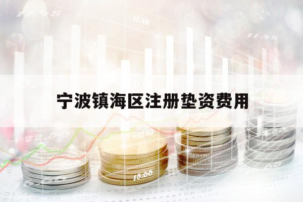 寧波鎮(zhèn)海區(qū)注冊(cè)墊資費(fèi)用