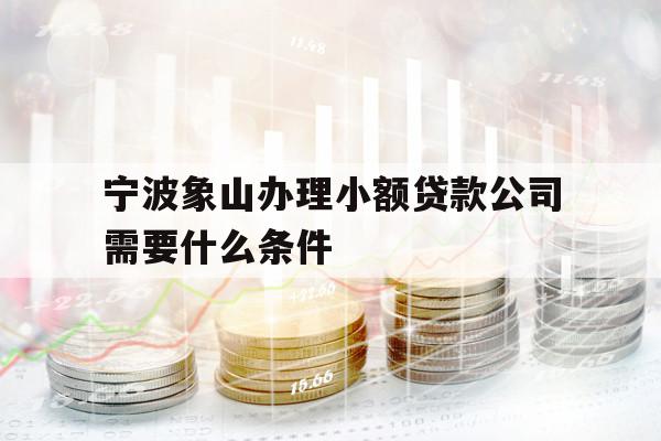 寧波象山辦理小額貸款公司需要什么條件