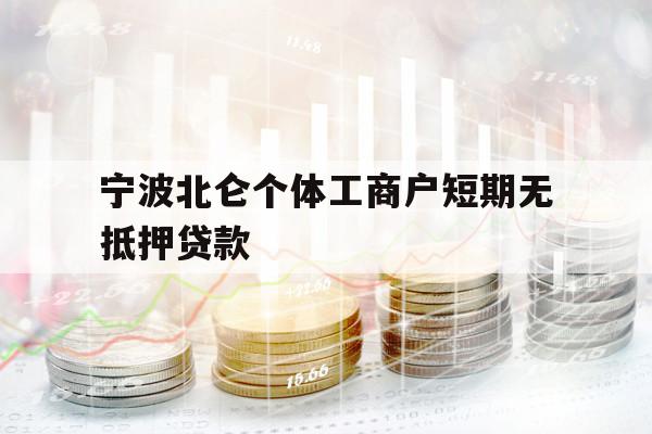 寧波北侖個(gè)體工商戶短期無抵押貸款