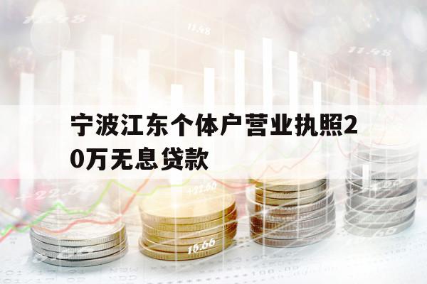寧波江東個體戶營業(yè)執(zhí)照20萬無息貸款